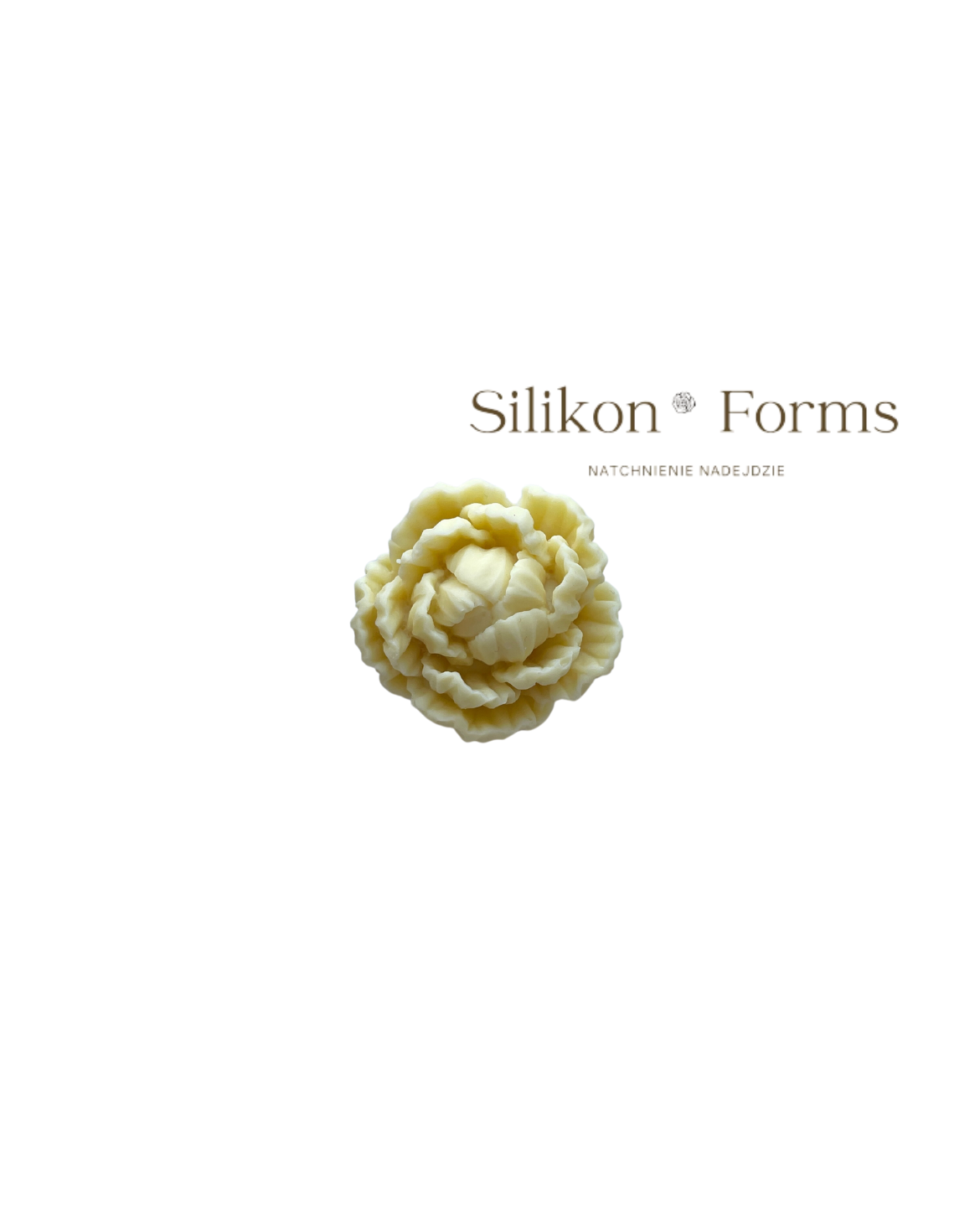 SilikonForms