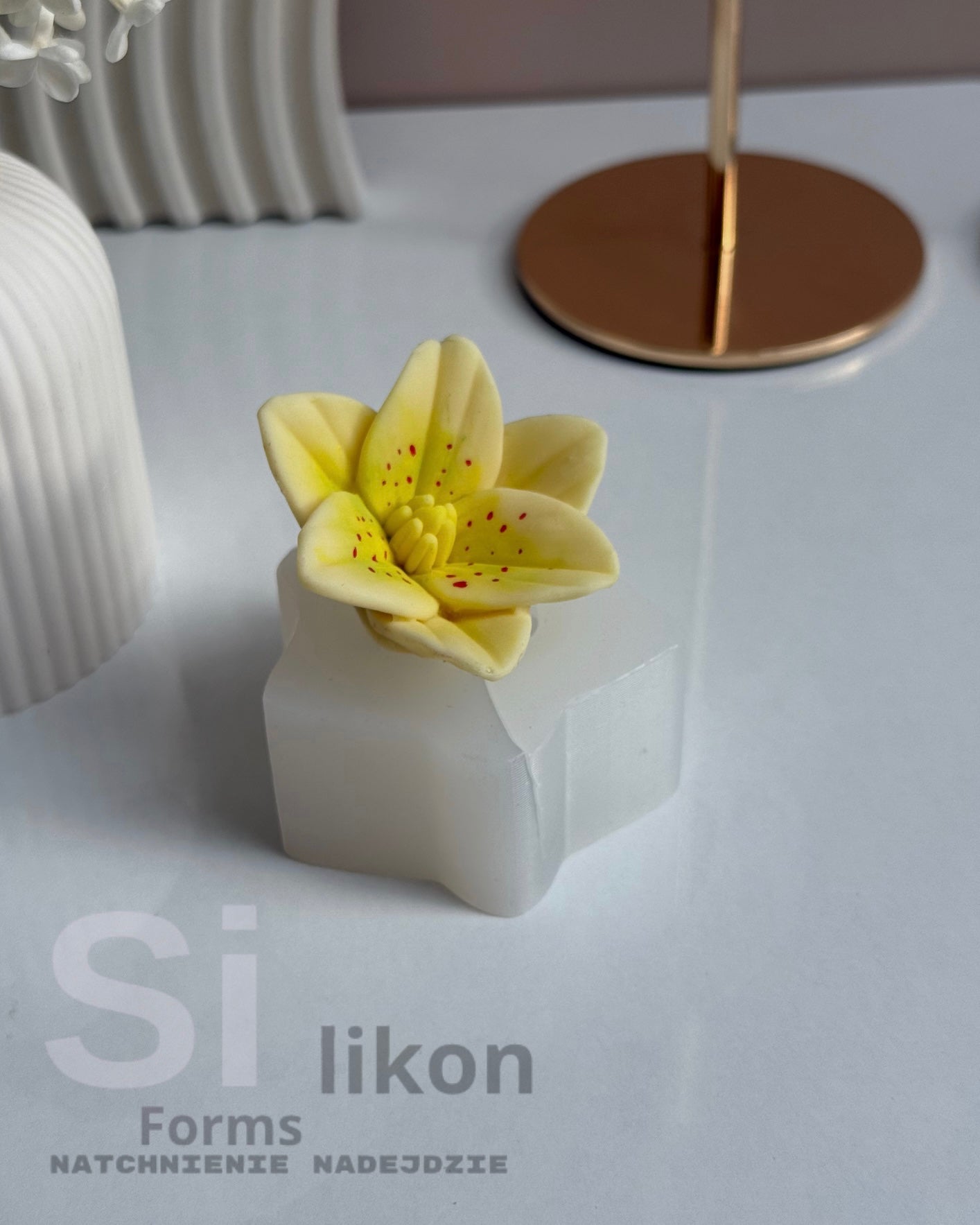 SilikonForms