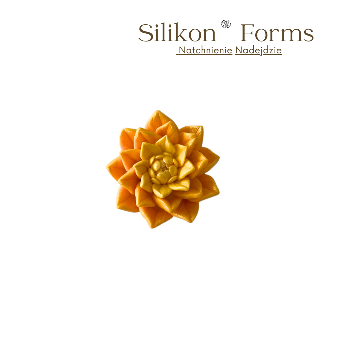 SilikonForms