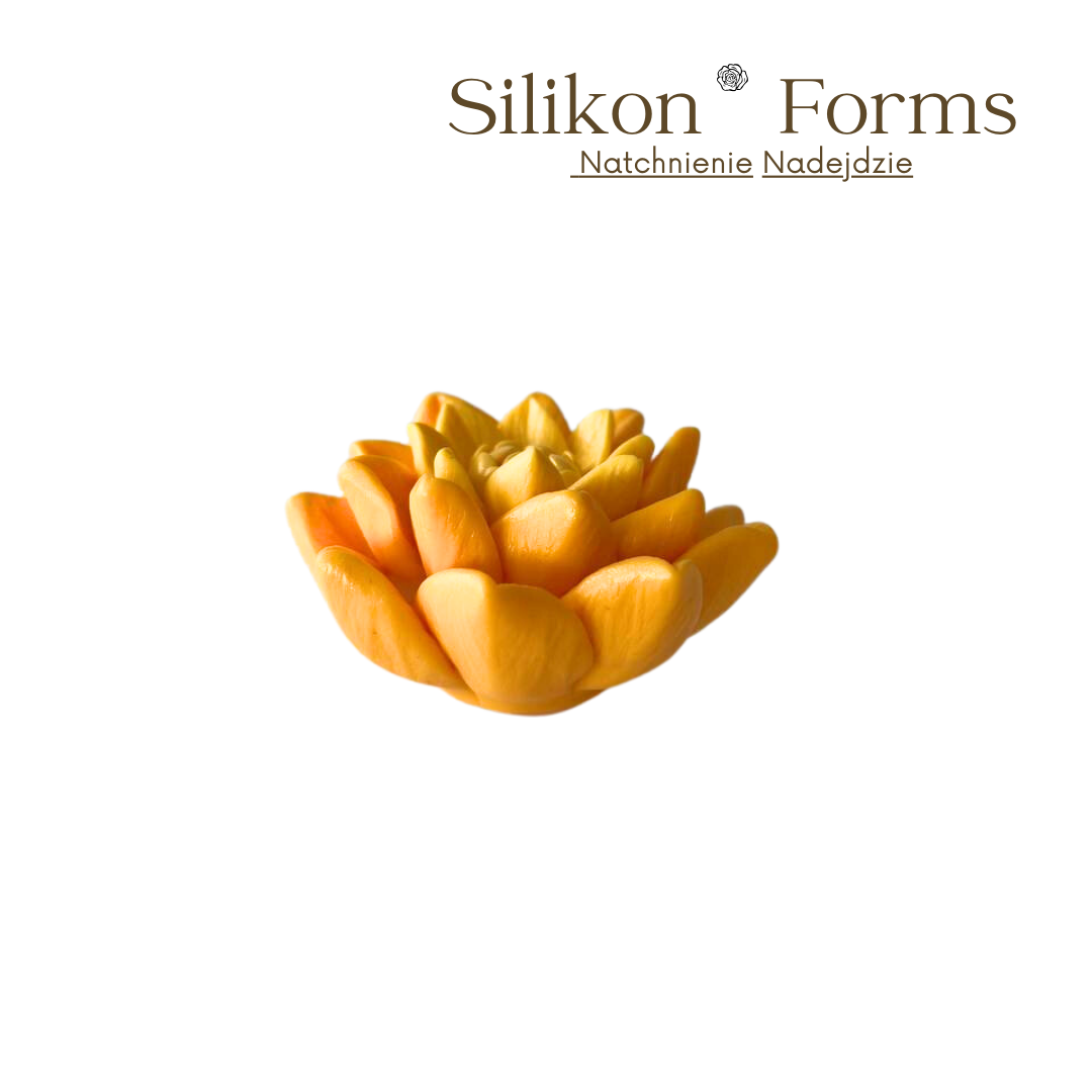 SilikonForms