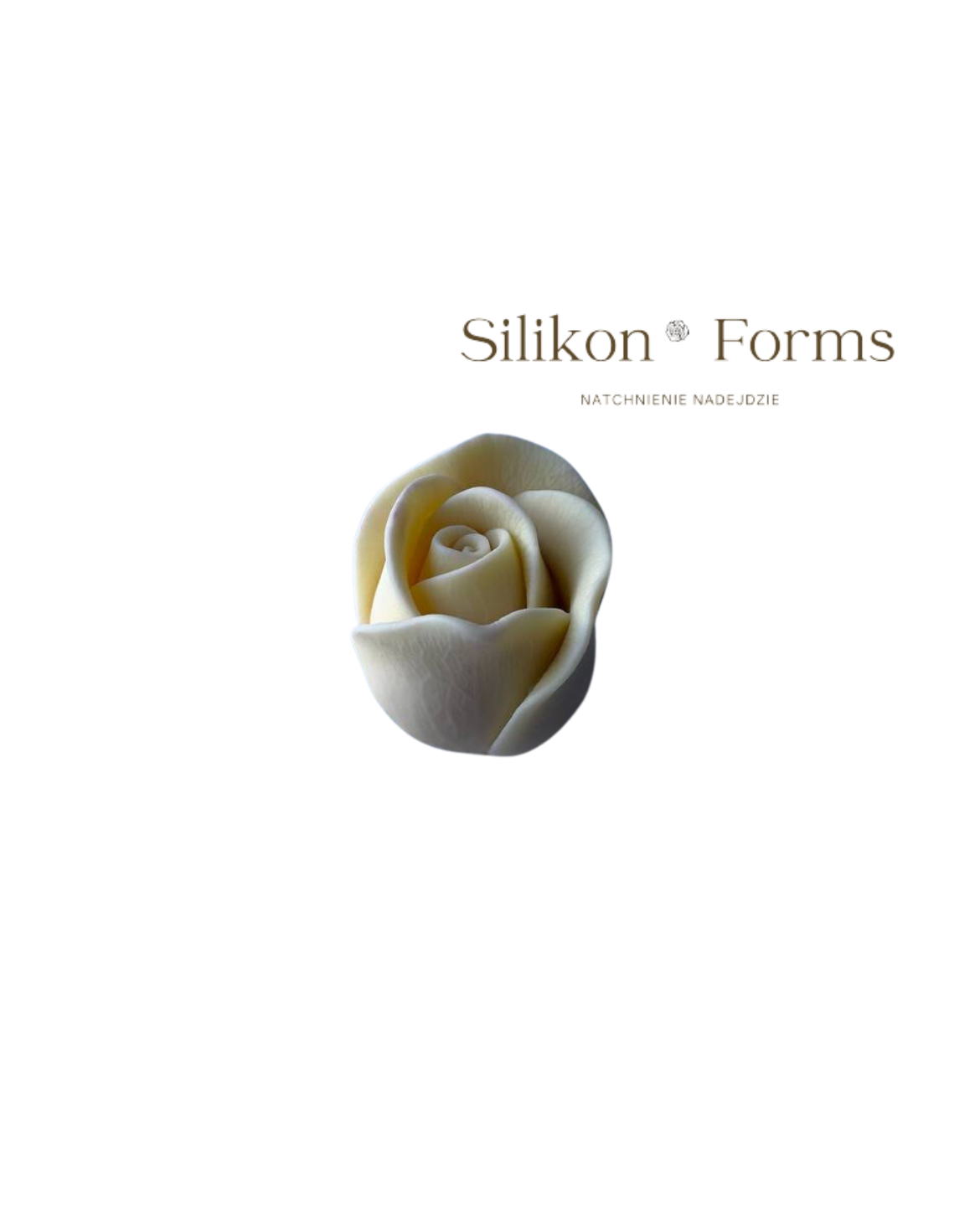 SilikonForms