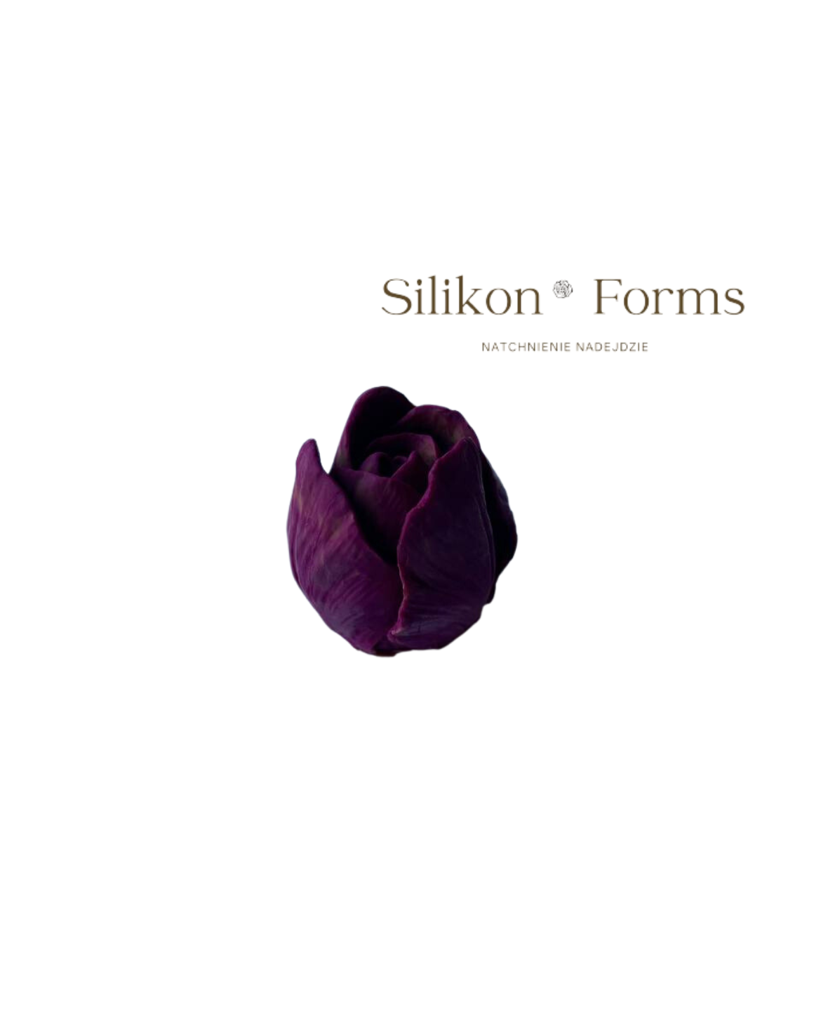 SilikonForms