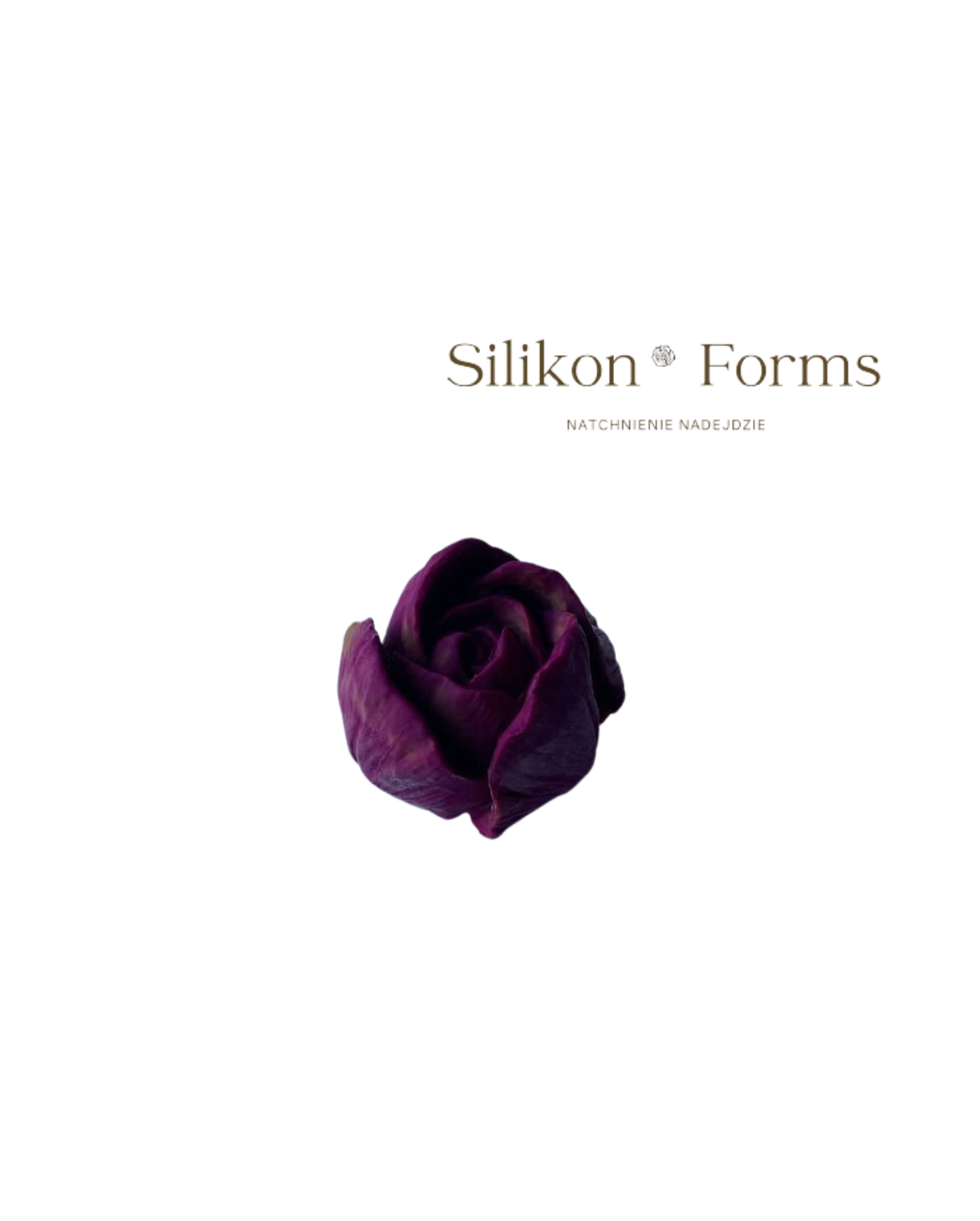 SilikonForms