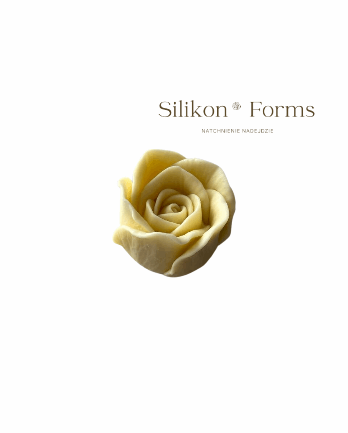 Kwiat "Róża mała"