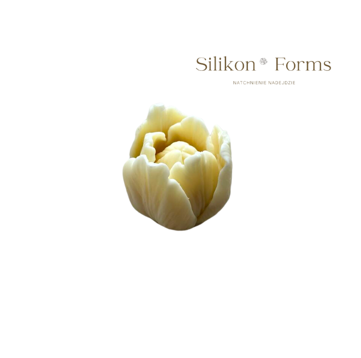 SilikonForms