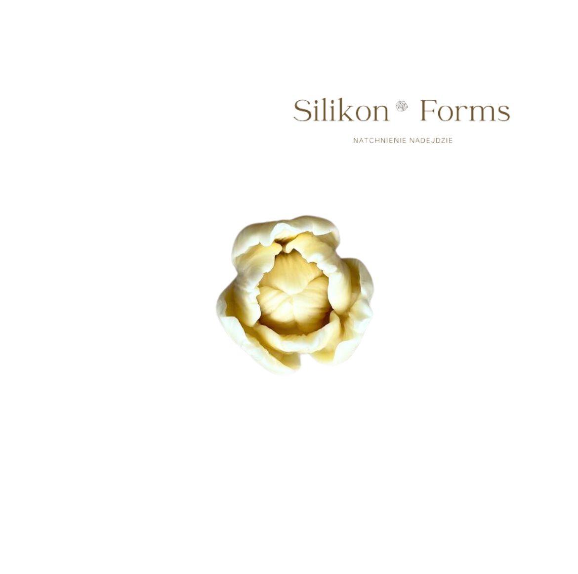 SilikonForms