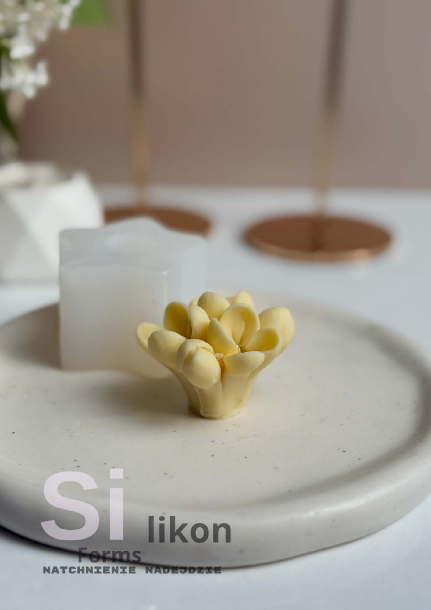 SilikonForms