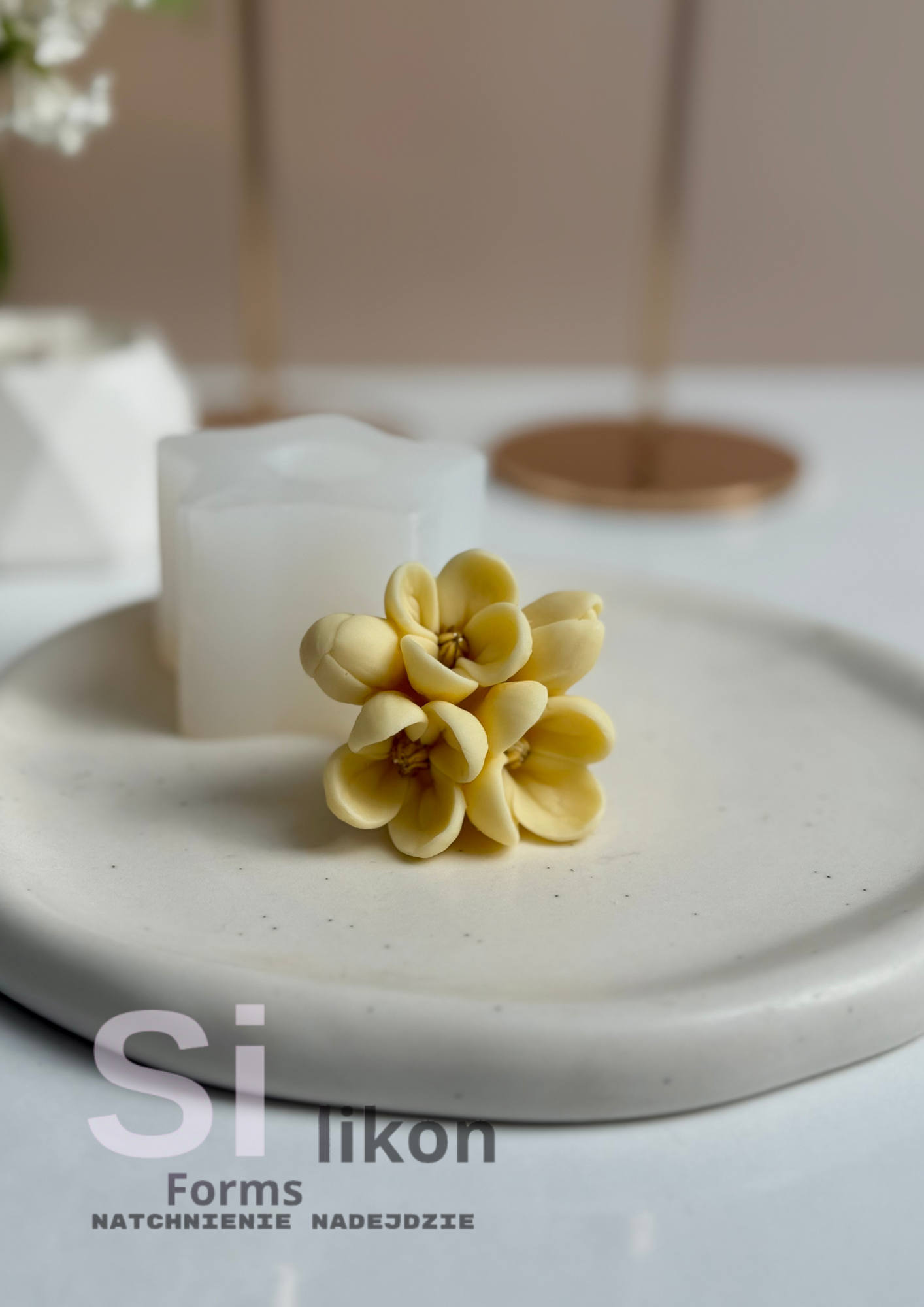 SilikonForms