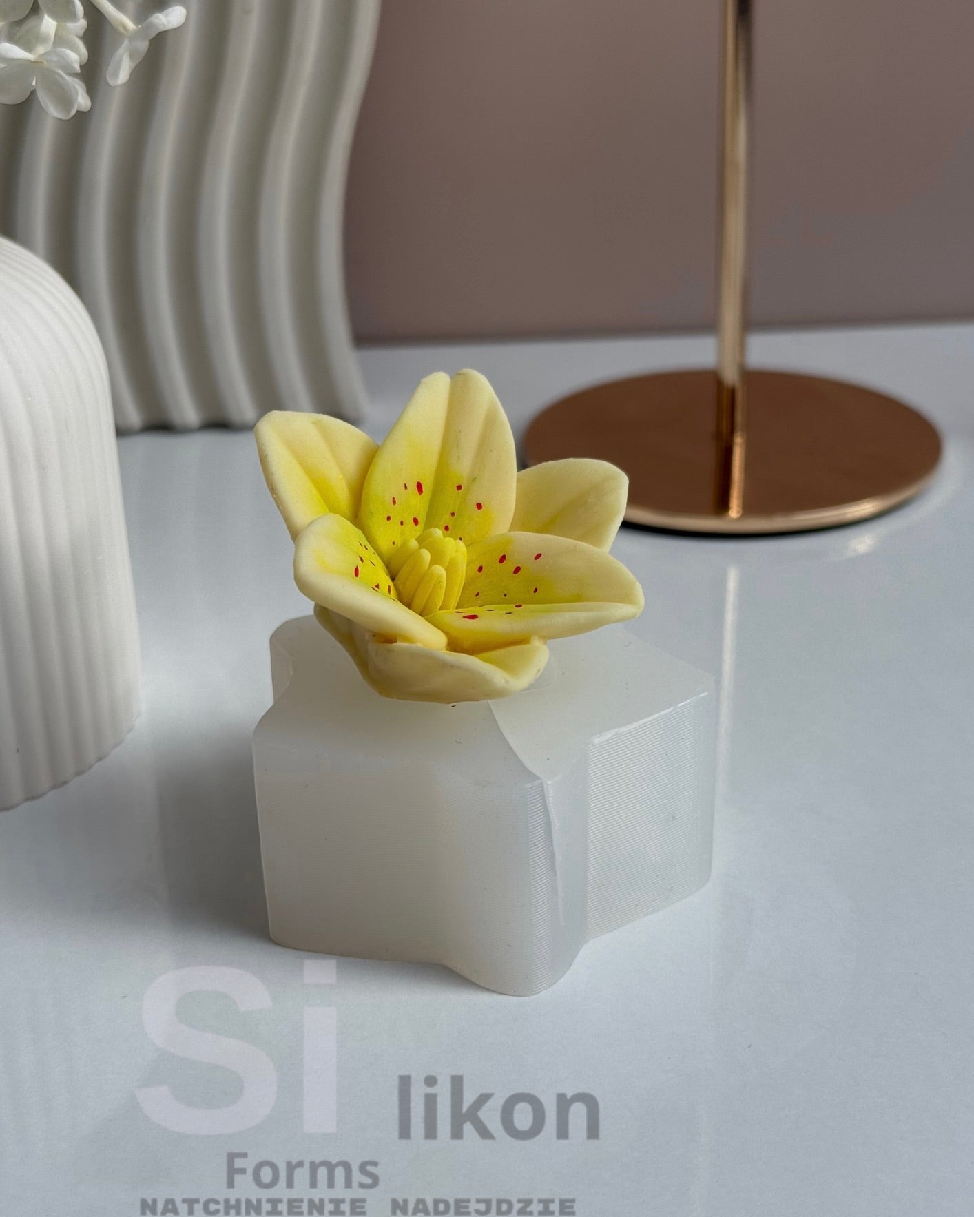 SilikonForms