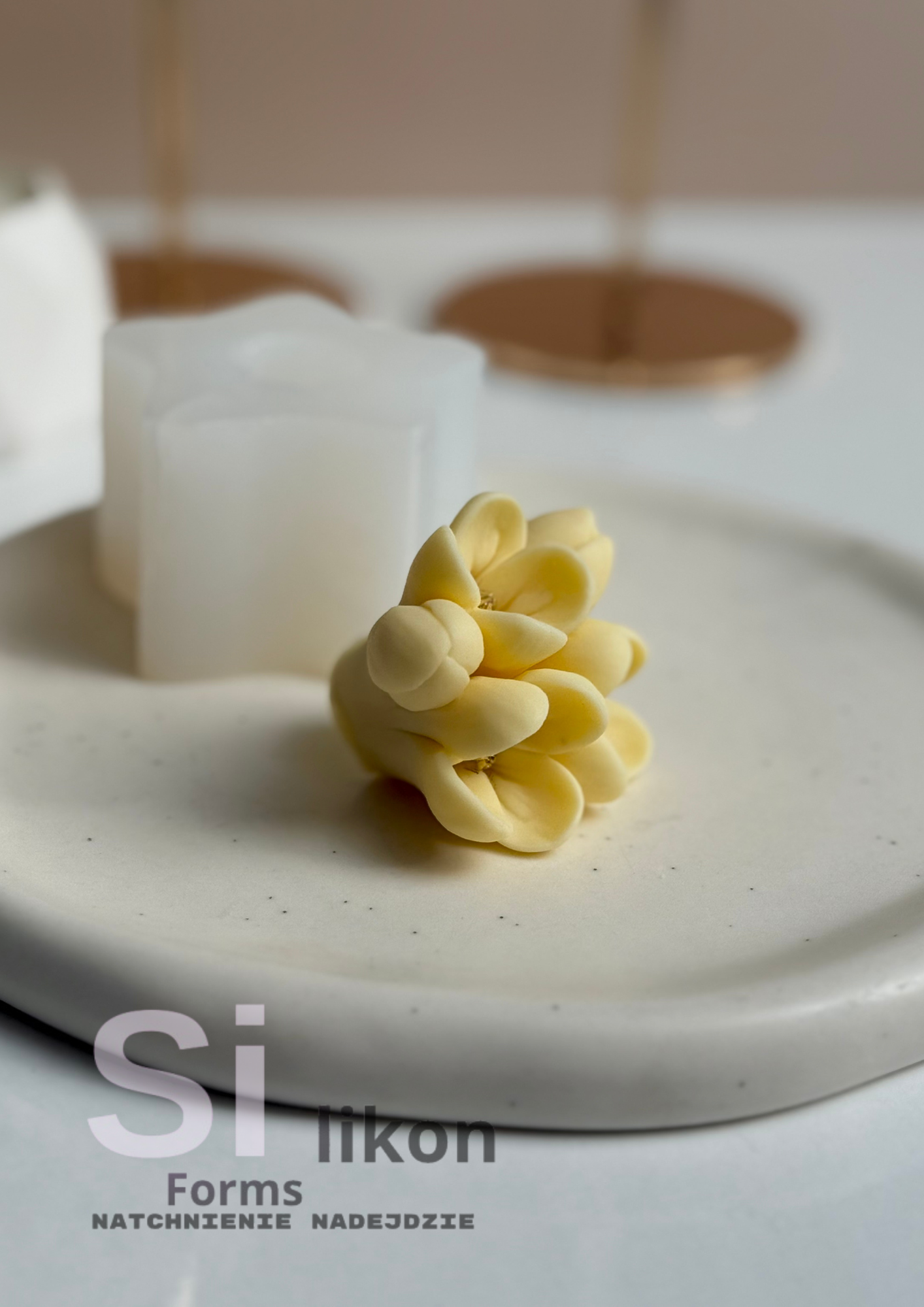 SilikonForms