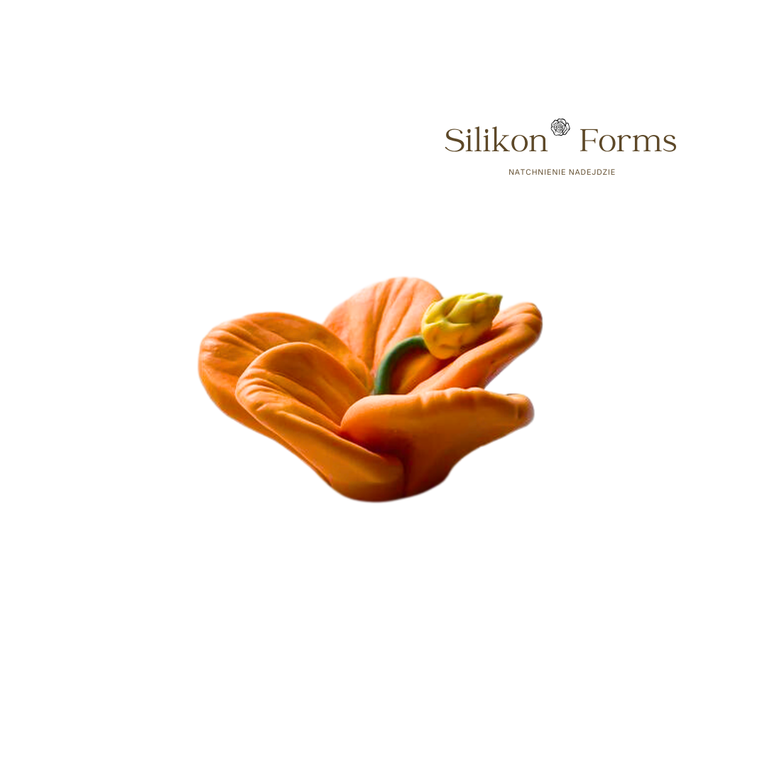 SilikonForms