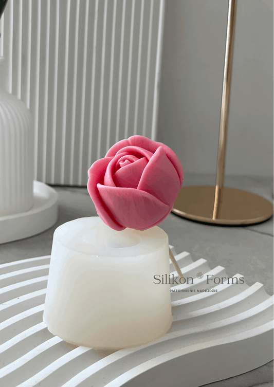 Róża "Satin"