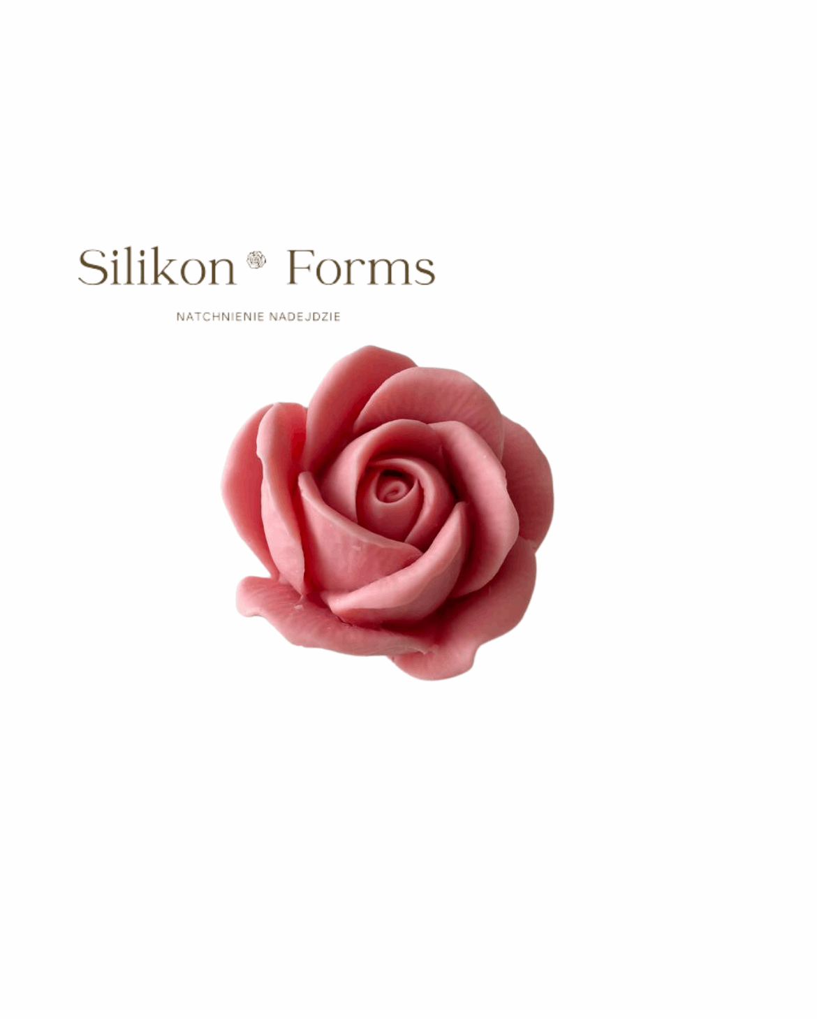 Kwiat "Róża Wielkokwiatowa"