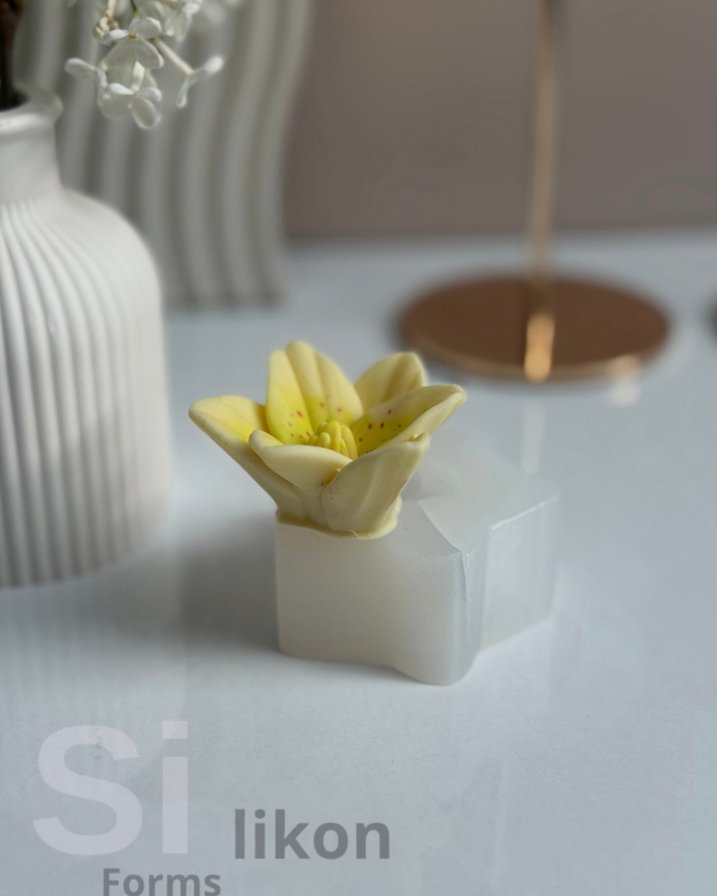 SilikonForms
