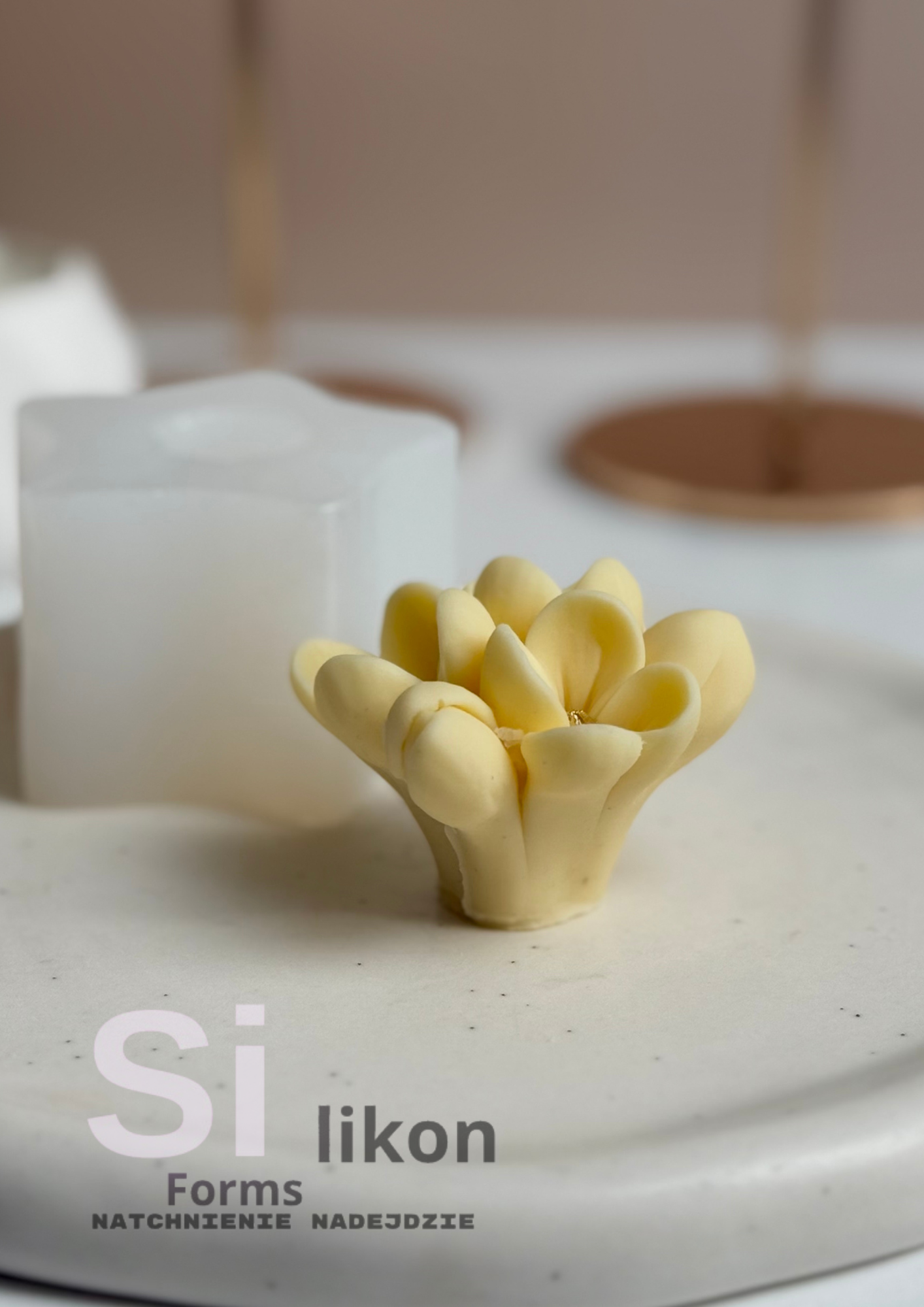 SilikonForms