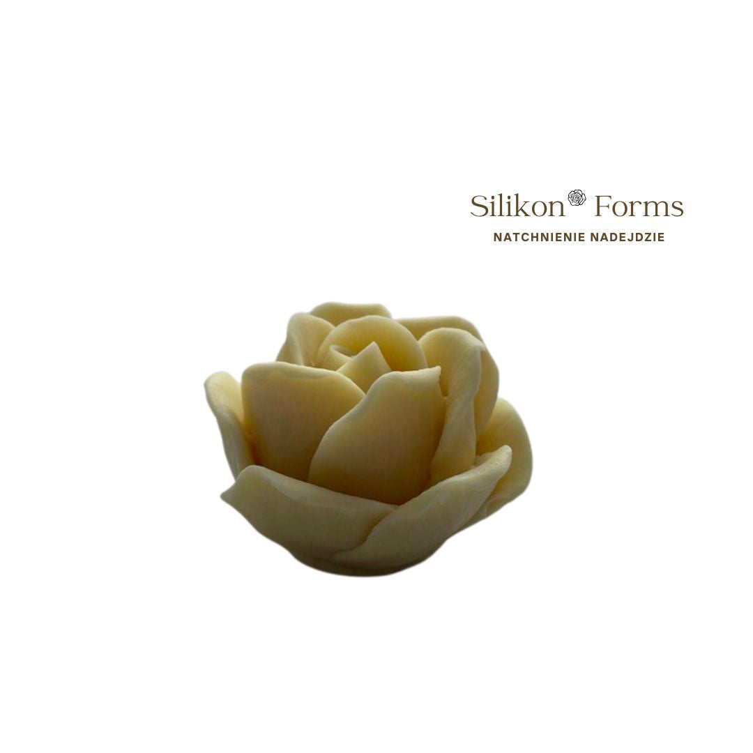 SilikonForms