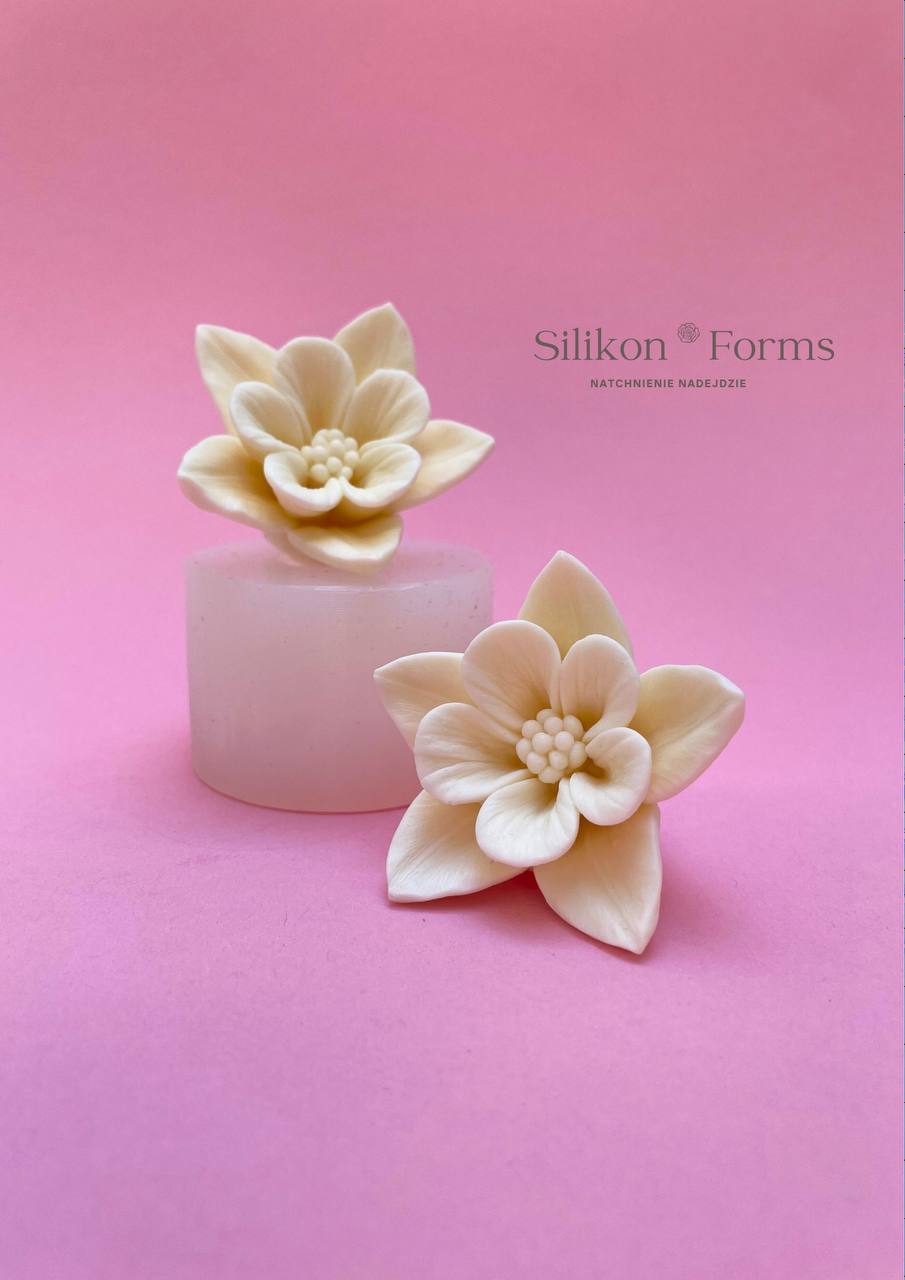 SilikonForms