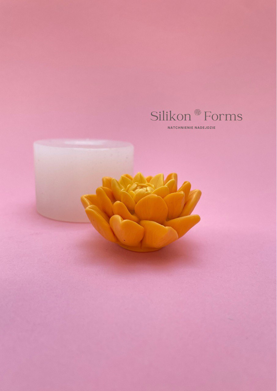 SilikonForms